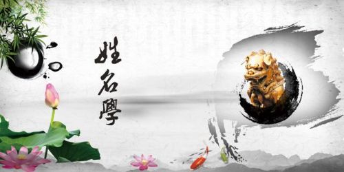姓名打分免费查询(姓名打分100分免费)-第1张图片-