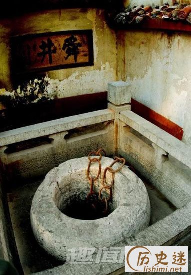 龙
