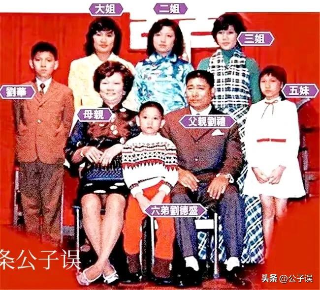 刘德华个人资料简历（刘德华的奔流情史，和他身前身后的女人们）