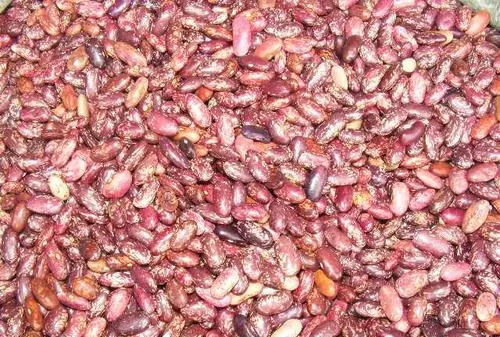 花豆什么时候种,花脸什么时候上线图3