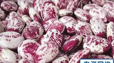​花豆什么时候种,花脸什么时候上线