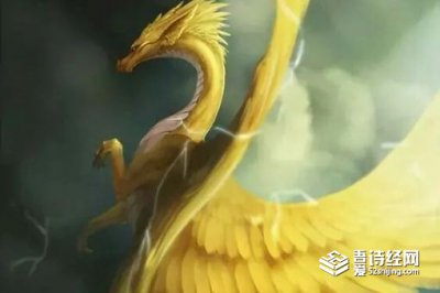 ​应龙是什么龙，有关应龙有很多传说故事