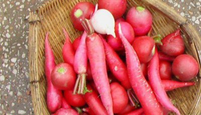 ​哪些蔬菜适合做泡菜,哪些菜可以做泡菜