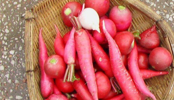 哪些蔬菜适合做泡菜,哪些菜可以做泡菜图1
