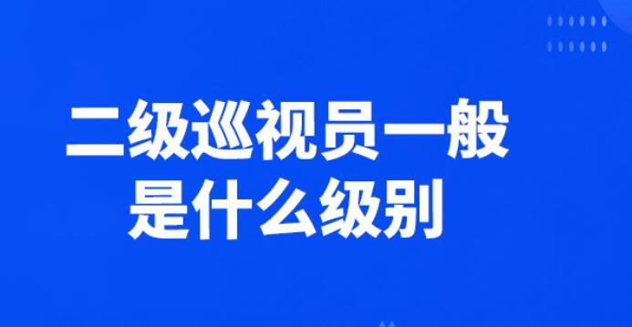 二级巡视员是什么级别的干部