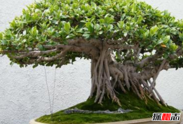 中元节是哪一天?中元节不能做的12件事