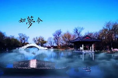 ​李清照的《如梦令·常记溪亭日暮》中的“鸥鹭”是指的什么动物？