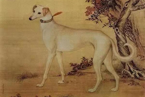 狗官一词的来历是什么?历史上谁叫响了一声狗官?