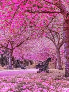 ​寒假趣事作文800字初中_寒假趣事作文800字左右