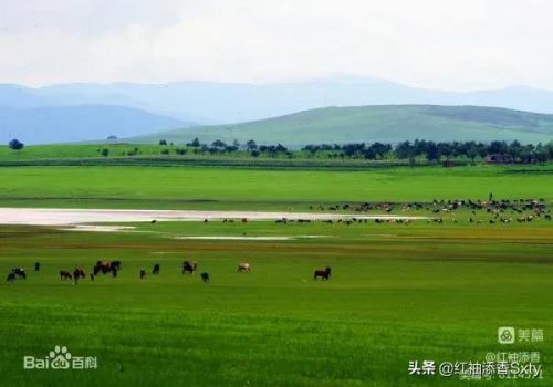 大青沟旅游攻略，大青沟自驾游攻略-第1张图片-