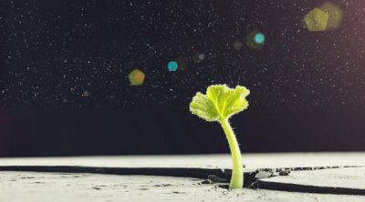 ​酒便利利润多少钱(酒便利加盟费多少钱)