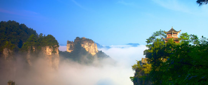 请问5月19日为中国什么日？优质