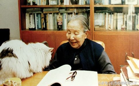 冰心，现代著名作家,