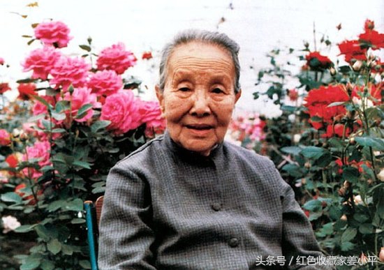 冰心，现代著名作家,