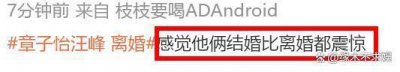 ​章子怡汪峰离婚了吗 章子怡汪峰是几婚几个孩子？
