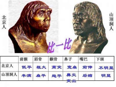 ​山顶洞人和北京人有什么区别