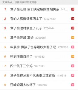 ​章子怡，成为汪峰妻子的 8 年