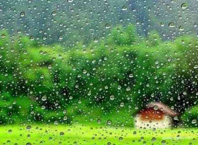 ​春雨绵绵的唯美句子（推荐20句春雨诗句）