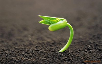 ​真实故事：堕胎的果报是什么？堕胎罪业化解方法有哪些？