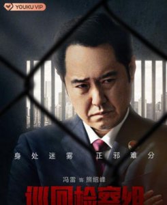 ​巡回检察组剧情介绍大结局解析(巡回检察组剧情介绍演员)