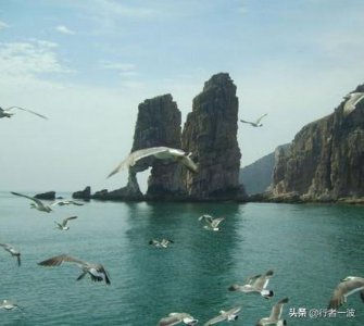 ​陕西.丹凤东凤葡萄酒有限公司(丹凤东凤葡萄酒有限公司法人)