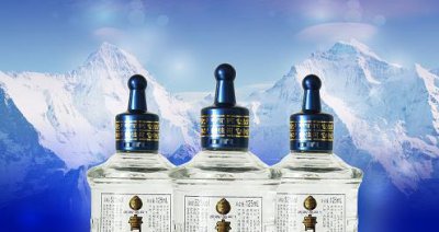​九龙醇酒42度一瓶价格(九龙醇酒42度一瓶价格多少)