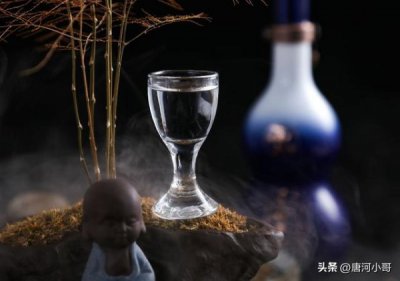 ​泸州陈酒淡雅9什么价位(泸州陈酿38度淡雅9多少钱一瓶)
