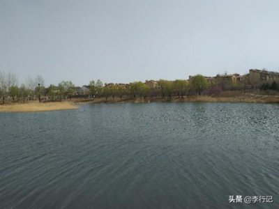 ​西凤大唐雄风45度价格(西凤大唐雄风50度多少钱)