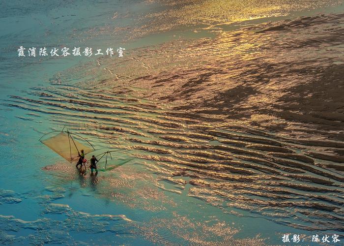 第二天：乘船出海观赏风光旖旎的滩涂风光