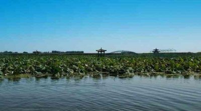 ​保定周边景区自驾游