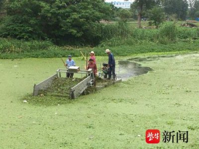 ​diy水草液肥配方，水草液肥配方 红色水草