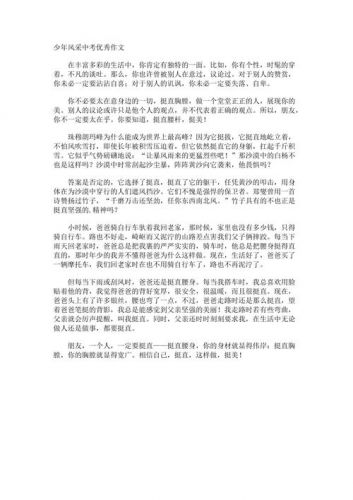 少年风采作文600字(少年风采作文结尾)-第1张图片-