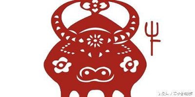 ​属牛的人命运怎么样(属牛的人的婚姻怎么样)