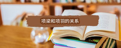 ​项梁和项羽的关系