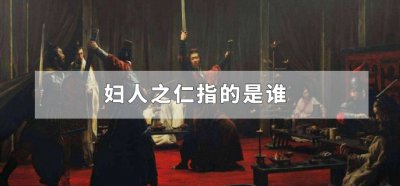 ​妇人之仁指的是谁