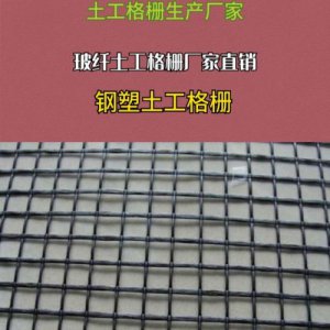 ​土工格栅每平米价格(矿用土工格栅价格)