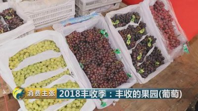 ​清徐产区的葡萄酒品类，清徐葡萄产地