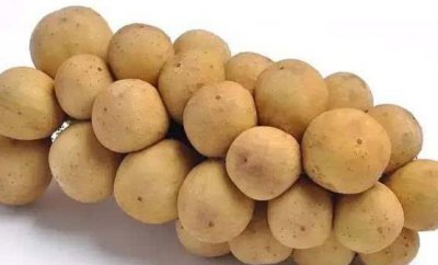 ​龙宫果的功效和作用 吃龙宫果的禁忌