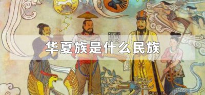 ​华夏族是什么民族