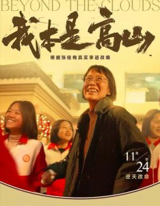 ​张桂梅，不应被“改编”！
