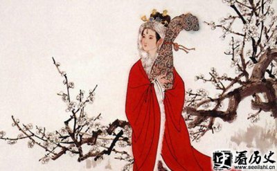 ​杜甫写给王昭君的诗