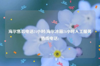 ​海尔售后电话24小时(海尔冰箱24小时人工服务热线电话)