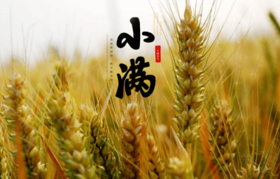 ​小满吃什么美食 不管有钱没钱，这5种美食要多吃