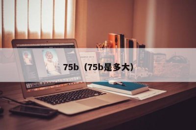 ​75b（75b是多大）
