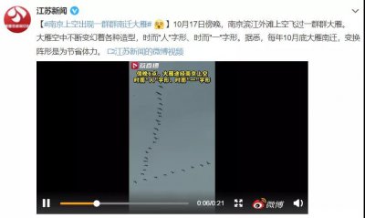 ​大雁飞行时为什么要排队（大雁编队飞行的原因是）