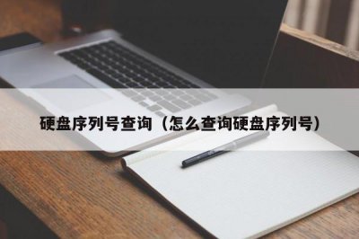 ​硬盘序列号查询（怎么查询硬盘序列号）
