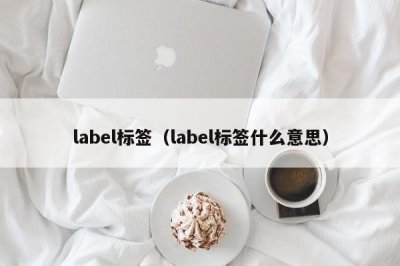 ​label标签（label标签什么意思）