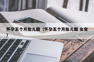 ​怀孕五个月胎儿图（怀孕五个月胎儿图 女宝）