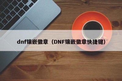 ​dnf镶嵌徽章（DNF镶嵌徽章快捷键）