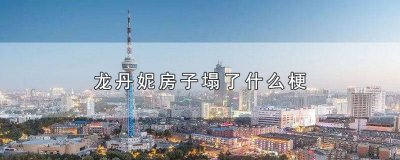 ​龙丹妮是什么人 龙丹妮原来是哪个公司的